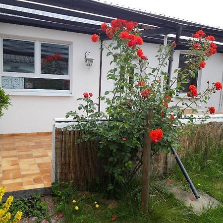 Bungalow Usedom Koserow Exterior photo